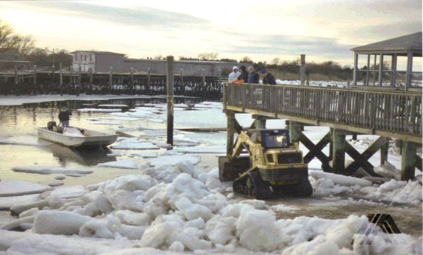 oyster winter harvest